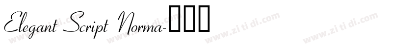 Elegant Script Norma字体转换